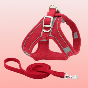 Why Your Pet Deserves the Best: The Pet Vest Chest Harness Leash