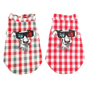 Unleash Summer Vibes with Our Pet Summer Graphic T-Shirt