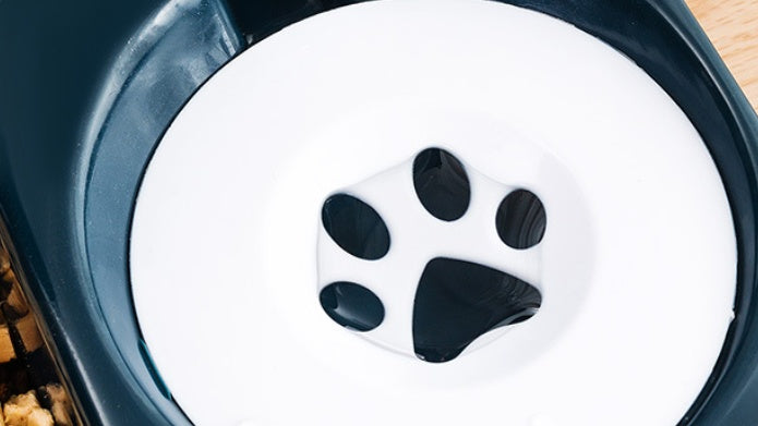 Why Your Pet Deserves the Best: The Automatic Pet Food and Water Bowl Set