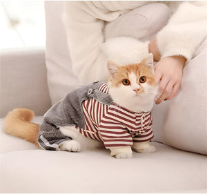 TOP PET CLOTHING FOR EVERY SEASON