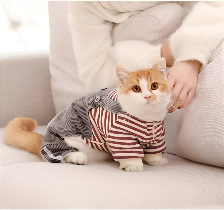 TOP PET CLOTHING FOR EVERY SEASON
